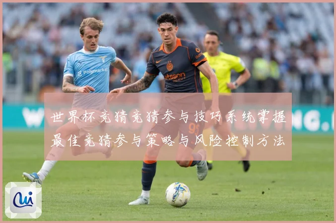 世界杯竞猜竞猜参与技巧系统掌握最佳竞猜参与策略与风险控制方法数据研判-深度解析